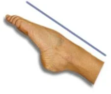 Point the foot.webp