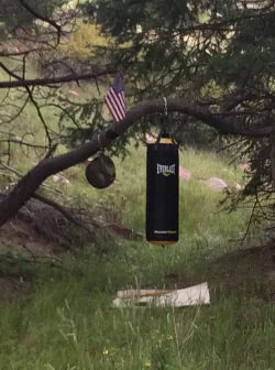 PunchBag.webp