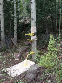 AspenWoodenMann.webp