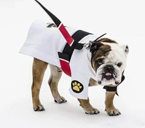 b717979532e28d1fda3c4e509a2f7053--judo-karate-dog-costumes.webp