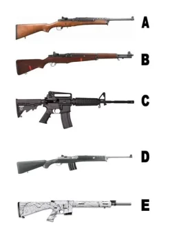 Which is the assault rifle.webp