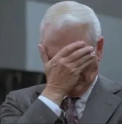 palm to the face.webp