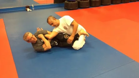 arm cradle.webp
