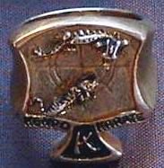 $IKKA ring front.JPG
