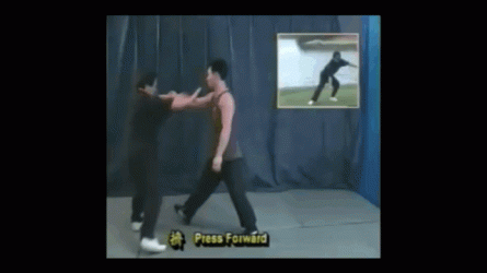Lin_Taiji_Ji.gif