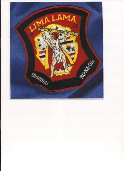 Nokaoi shield 001.webp Nokaoi shield 001.webp