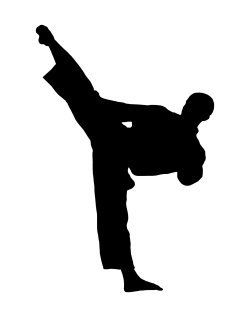 "The Art of Karate: A Deep Dive into its Techniques, Philosophy, and Life-Enriching Benefits"