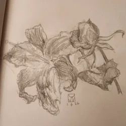 Flowers3.webp