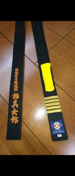 s-l1600.webp