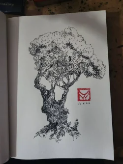 Dailytree.webp