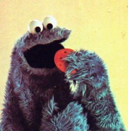 $Cookie3.jpg