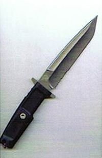 $colmoschin2.jpg