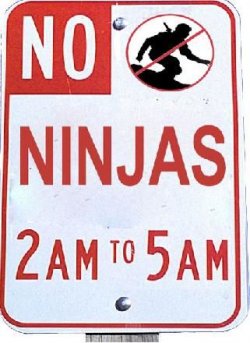 $noninja.JPG