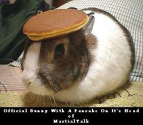 $MTSmallbunny.jpg