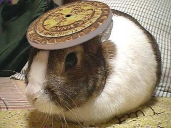 $Decoderbunny.jpg