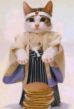 $samurai cat with pancakes.jpg