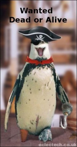 $piratepenguin.jpg