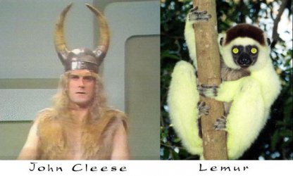 $LemurCleese.jpg