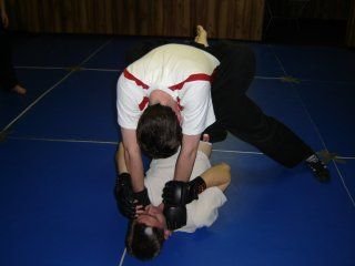 $mmaguardpass-2.jpg