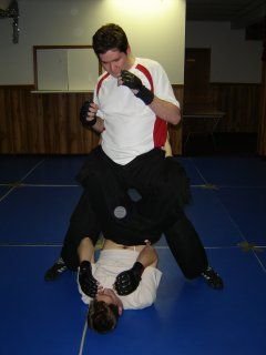 $mmaguardpass-4.jpg