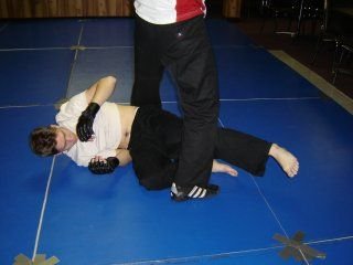 $mmaguardpass-5.jpg