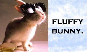 $fluffy02.jpg