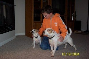 $mini-Abby and Moose.jpg