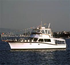 $hornblower_lrg.jpg