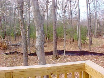 $BackDeck.jpg