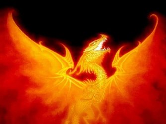 $dragon-pictures-007.jpe