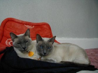 $MilesandSarah 2-17-02.jpg