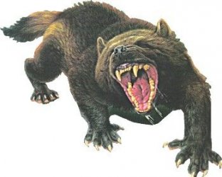$Wolverine.jpg