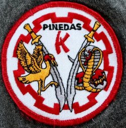 $Pinedas patch shrunk.jpg