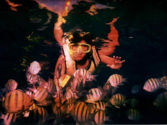 $Swimming with the fishes.jpg