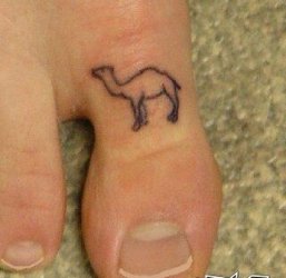 $CAMEL TOE.jpg