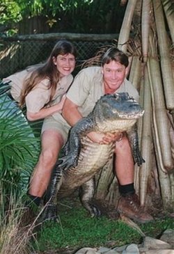 $CROC IRWINS.jpg