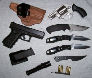 $Carry Assortment 500x423.jpg
