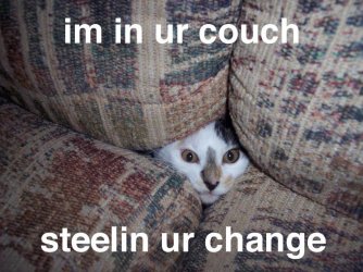 $couch.jpg