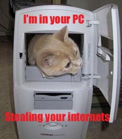$pc.jpg