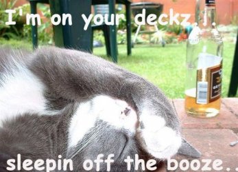 $booze.jpg