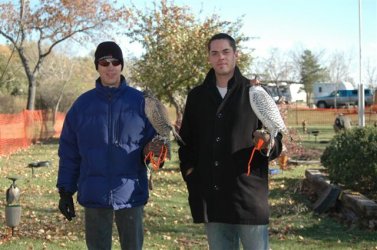 $falconing.JPG