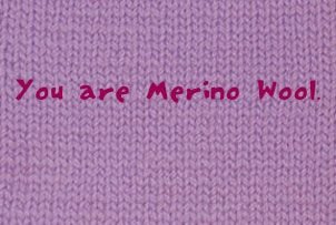 $1075526192_zzermerino.jpg