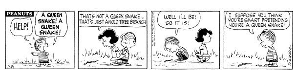 $peanuts_mooninite_large.jpg