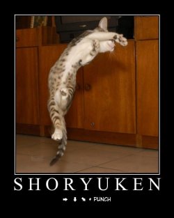 $shoryuken.jpg