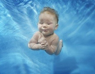 $swimming_babies_01.jpg
