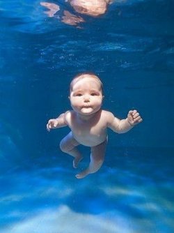 $swimming_babies_27.jpg