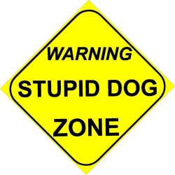 $Zone_Stupid_Dog.jpg