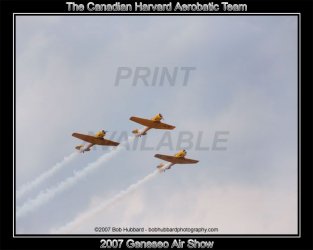 $DSC_0171-can-harv-web.jpg