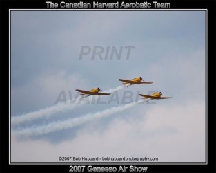 $DSC_0170-can-harv-web.jpg