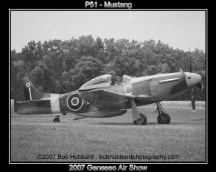 $DSC_0440-mustang-web.jpg